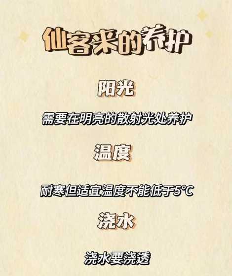 仙客来来花期怎么管理 仙客来怎么管理