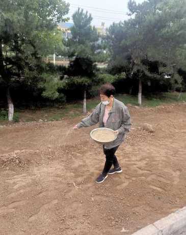 如何均匀播撒草坪种子 草坪如何进行种植与管理