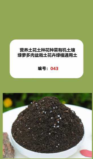 庭院养花怎么用营养土 养花的营养土里为什么会有小飞虫