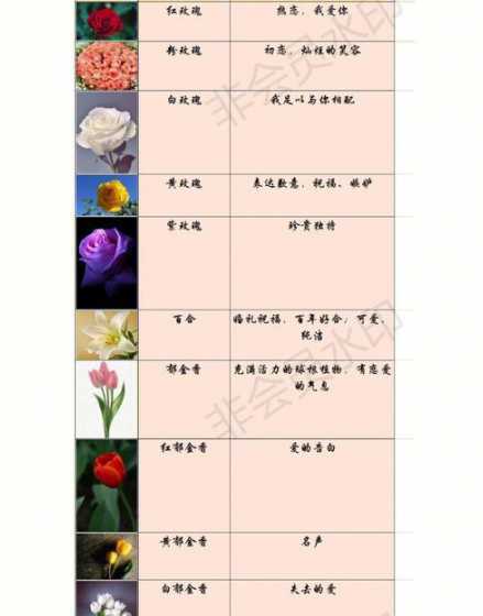 什么花的花语代表贵人 花语带来好运气的花