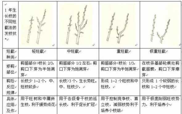 冬天榕树什么时候剪枝 榕树冬天可以剪枝吗