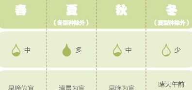 多肉什么温度不能浇水 多肉夏天要浇水吗