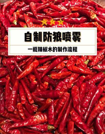 辣椒水有泡沫怎么处理 月季招红蜘蛛怎么处理