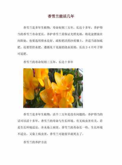 兰花为什么活不过三年 兰花为什么养不活