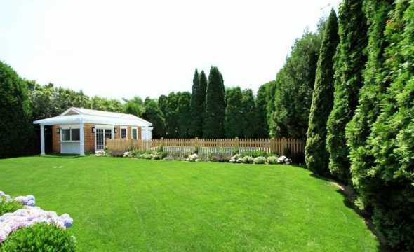 庭院草坪上栽什么树好 庭院里种什么树好