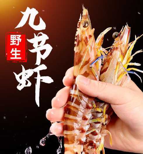 花里面养虾子什么讲究 花虾的养殖技术