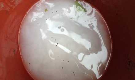 生根粉为什么要洗干净 生根粉泡过的果树栽前需要清水冲洗吗