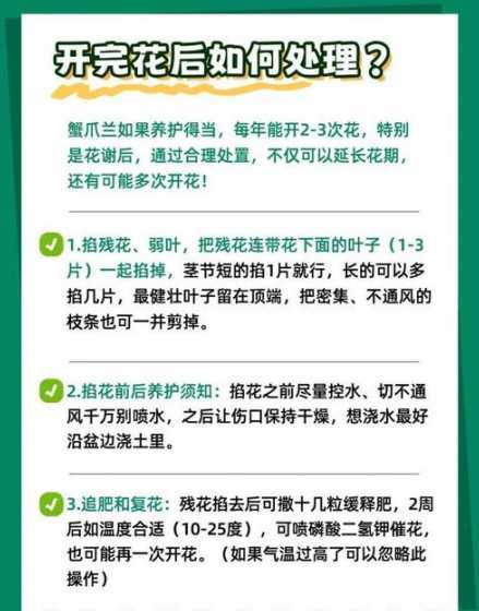 蟹爪兰为什么花前控水 蟹爪兰不开花的原因