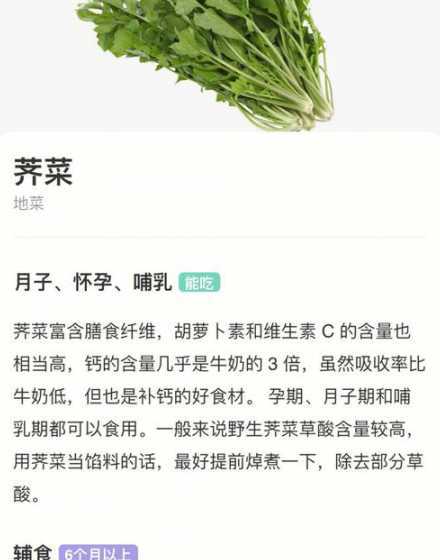 天天吃荠菜有什么坏处 吃竹笋有什么好处和坏处