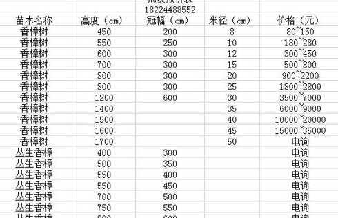香樟树的价格是多少钱 30公分的香樟树多少钱