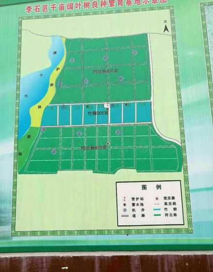 苗圃区划包含哪些内容 苗圃地怎么区划