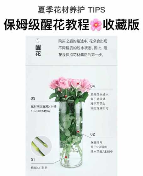 玫瑰花怎么养的时间长 玫瑰花怎么养能活得时间长一点