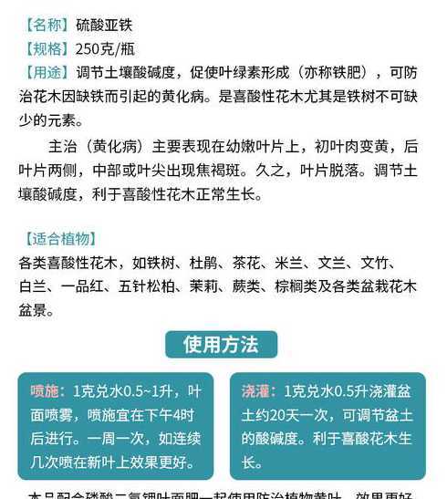 用冰水浇花有什么好处 长期喝白开水有什么危害