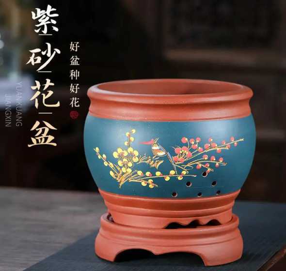君子兰盆栽用什么花盆 君子兰使用什么样的花盆合适