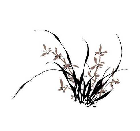 兰花元素的意义是什么 兰花象征着什么人