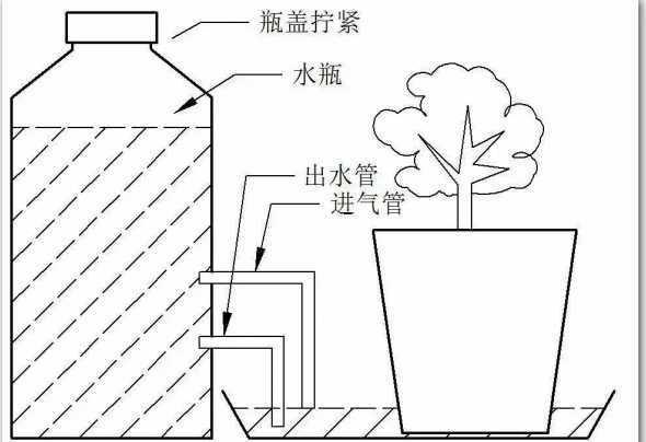 自制盆栽怎么自动浇水 懒人盆栽怎么浇水
