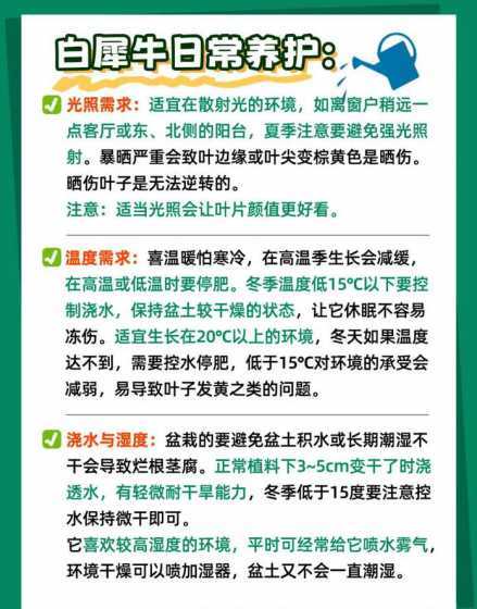 海芋为什么不能在家养 海芋的风水作用,养在家里风水好不好