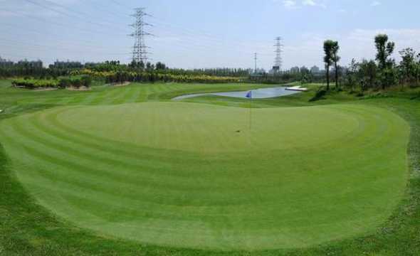 果岭草属于什么季草坪 草坪草、果岭草和四季青有什么区别