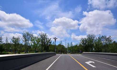 什么树木站有未来市场 树木化石有什么市场价值