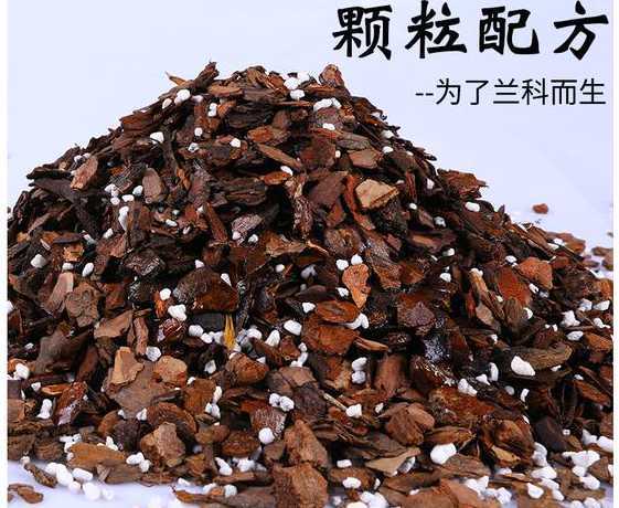 栽兰花用什么土最合适 兰花用什么土养