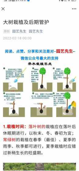 无叶树苗怎么种植方法 种植树的方法