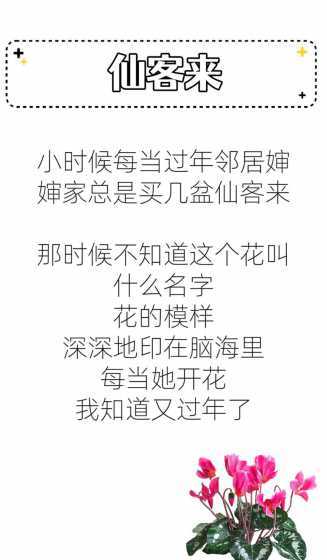 仙客来花怎么养怎么养 仙客来的盆栽花怎么养