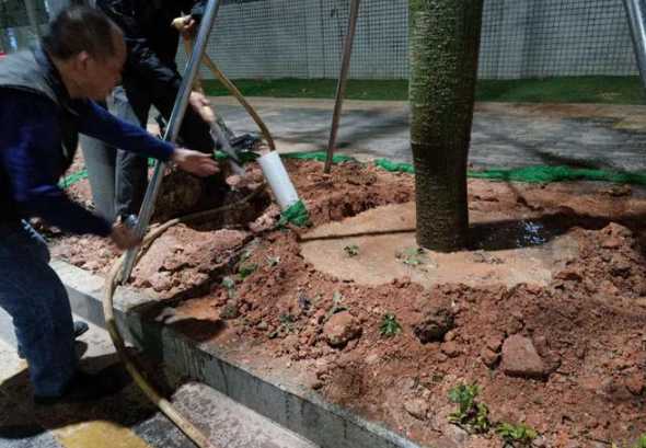 换盆为什么要浇定根水 养花技巧|浇定根水是什么意思