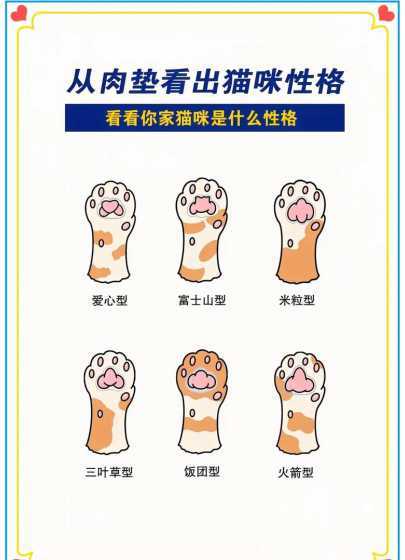 猫爪爪的形状代表什么 猫和狗脚印有什么区别