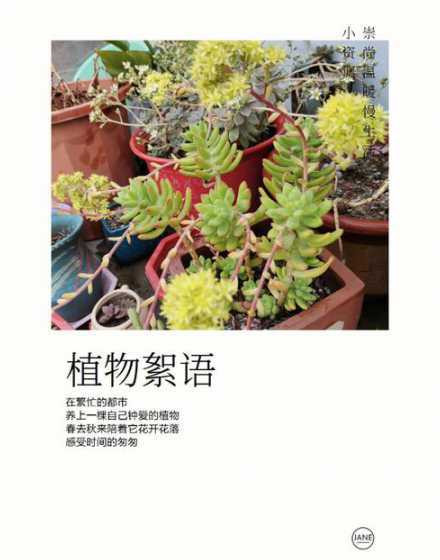 肉肉开花为什么不能要 肉肉开花有什么寓意,多肉开花象征着什么