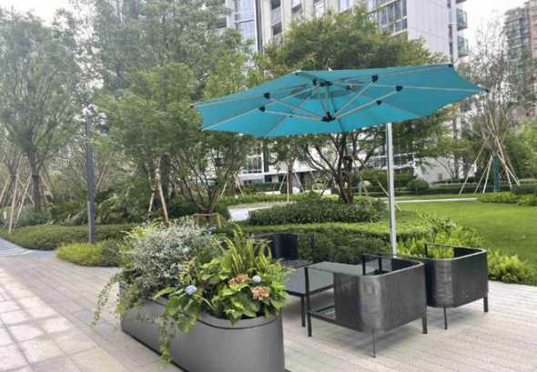 花箱一般种植什么植物 花箱应该栽种哪些植物较为合适