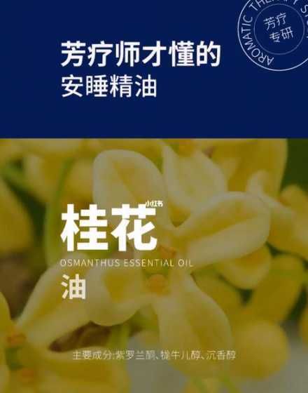 桂花开了为什么会失眠 桂花为什么在春天开