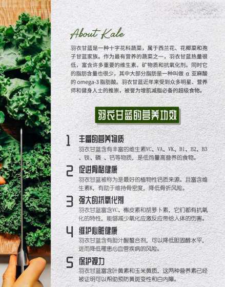 冬季羽衣甘蓝怎么养护 羽衣甘蓝栽培技术 羽衣甘蓝养护方法简介