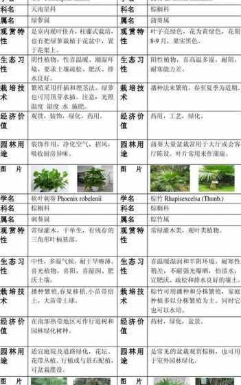 南北方植物有什么区别 南黄栌和北黄栌有什么区别呢