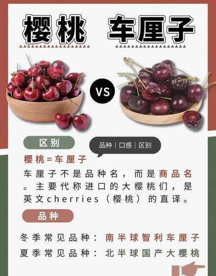 樱桃和毛樱桃怎么区分 野樱桃与毛樱桃的区别 分辨方法有哪些