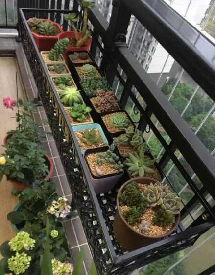 植物种在花盆什么位置 花盆摆放位置风水图 有什么风水禁忌