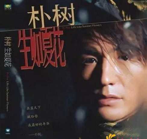 南京朴树十二的什么价 朴树的个人资料