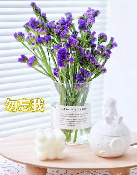 鲜花勿忘我怎么样保鲜 勿忘我鲜花怎么保存 可以保存多久呢
