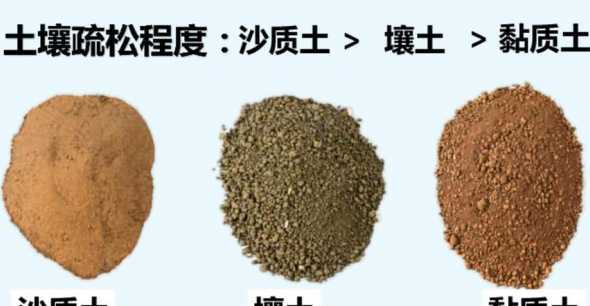 怎么样的土壤是好土壤 怎样判断土壤好坏如何提高土壤肥力