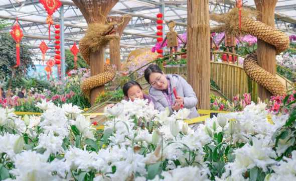 2024郑州花卉园艺展 2024花博会是第几届