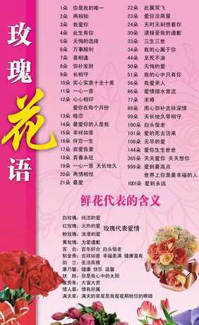 昆明玫瑰代表什么意思 11支粉玫瑰代表什么意思