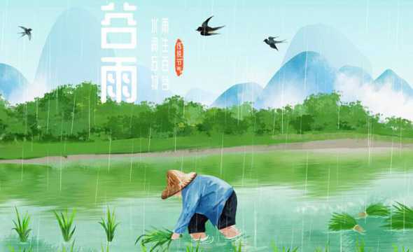 谷雨季节种什么植物好 谷雨前后种什么农作物