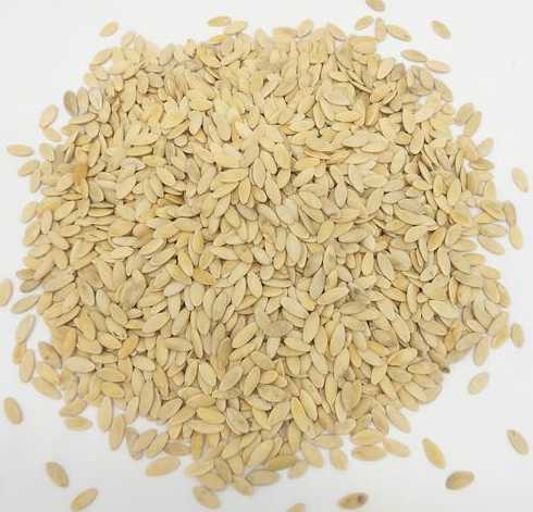 黄瓜种子是什么形状的 黄瓜的种子长什么样