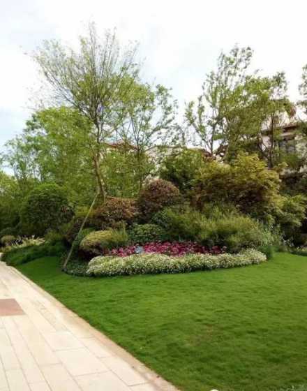 常见绿化组团怎么搭配 绿化组团搭配技巧