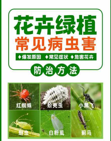 有什么办法驱植物虫子 杀灭植物虫子的办法
