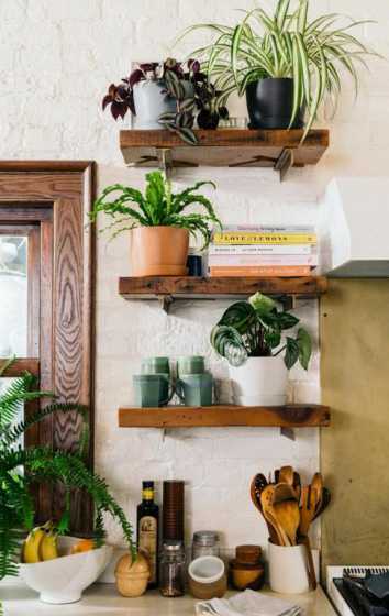 厨房最适宜摆什么盆栽 厨房最适合摆放什么植物