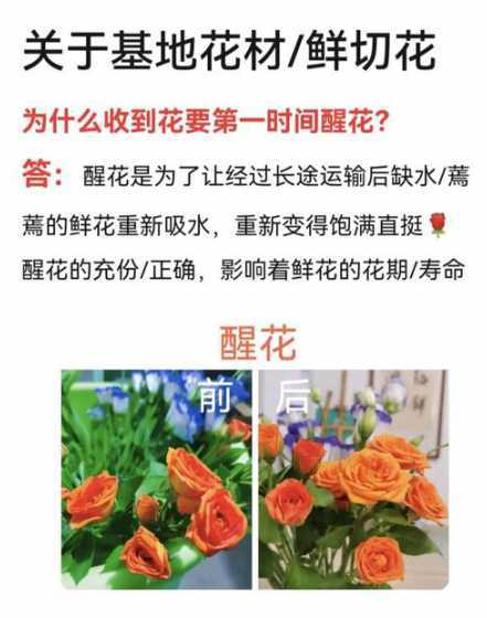 鲜切花保鲜怎么开花 鲜切花的保鲜处理