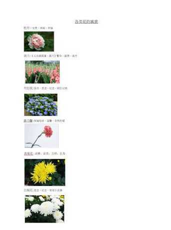 不同鲜花代表什么意思 鲜花的寓意是什么