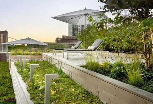 屋顶花园土壤一般多少 屋顶花园种植佛甲草对土壤厚度的标准为