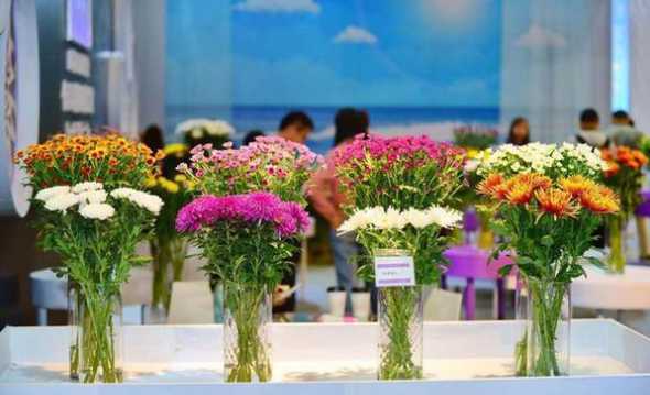 2024国际花卉展信息 2024郑州国际花卉园艺展会怎么去
