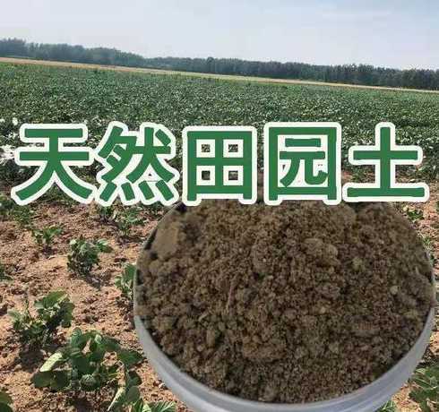 沙土加什么营养土最松 砂质壤土怎么配